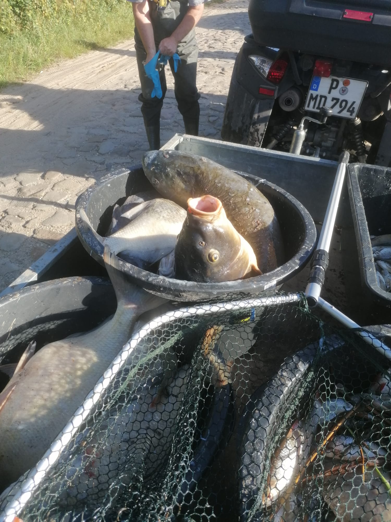 Sauerstoffmangel 2023